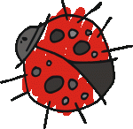Ladybug-2410